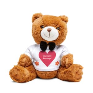 Personalized Teddy Bear with Custom T-Shirt, Keepsake Gift for Kids, Birthday Gifts, Valentine's Day, Cuddle Buddy, Plush Toy